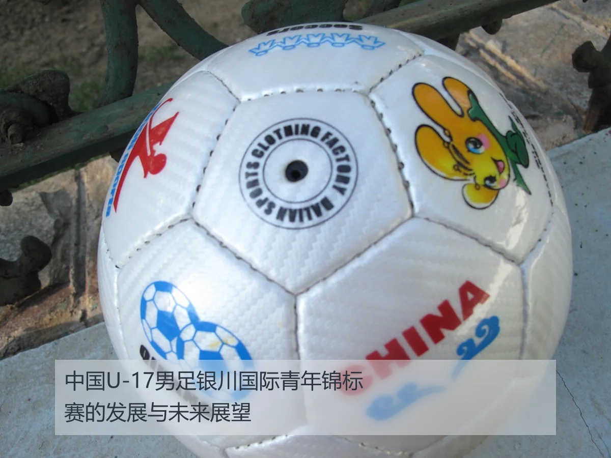 中国U-17男足银川国际青年足球锦标赛表现及未来发展分析（huatihui）